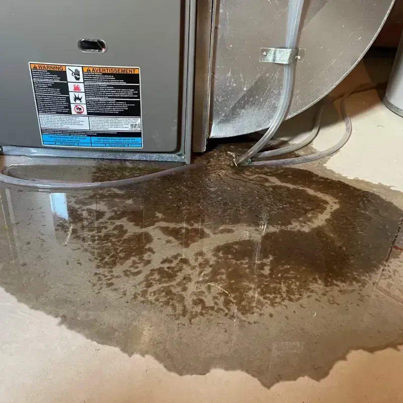 Appliance Leak Cleanup in Colonia, NJ